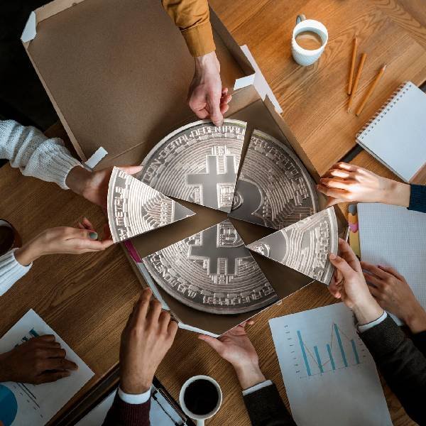 Team member profile image